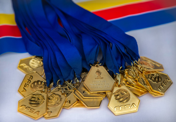 FFSA winners medals