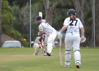2017-11-26 Cricket at Adelaide University
